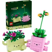 LEGO Botanicals 11506 Plantes Balançantes, Set Avec 2 Plantes Artificielles Et 2 Vases - 253 Pièces, 9+