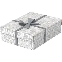 Esselte Boîte Cadeau Moyenne 360x265x100 Mm