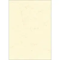 Rnk Verlag Motivpapier Elefantenhaut chamois DIN A3 190 g/qm 10 feuilles (A3, 190 g/m²)