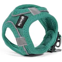 Big Buy Cooking Harnais pour chien gloria trek star 24-26 cm 28-28.6 cm turquoise xxs