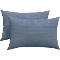 vidaXL Coussins de canapé 2 pcs Bleu 60 x 40 cm