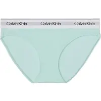 Calvin Klein Underwear Slip gris clair / menthe / noir / blanc