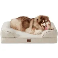 OEM Lit orthopédique pour grands chiens, 132 x 104 x 20 cm, coussin XXL en mousse, canapé pour chien lavable, imperméable et antidérapant, banc pour chien à rebords hauts, beige