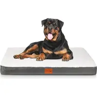 OEM Lit pour chiens de grande et moyenne taille - Coussin lavable en rembourrage de luxe, 90 x 60 x 8 cm