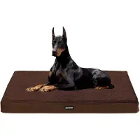 OEM Lit orthopédique pour chien, 120 cm, épaisseur 10 cm, grand format, marron, antidérapant, imperméable