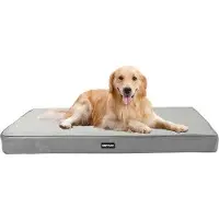 OEM Lit orthopédique pour chien, coussin de 10 cm d'épaisseur pour chiens de taille moyenne et grande, tapis amovible et lavable, dessous antidérapant, rembourrage imperméable, 112 cm, gris clair
