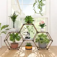 OEM Jardinière surélevée en bois, 6 niveaux, pour le salon, le balcon, le jardin, le bureau, 147 x 26 x 75 x 75 cm