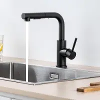 OEM Robinet de cuisine avec fonction haute pression, couleur noire, bec en U, pour chauffe-eau ou installations encastrées