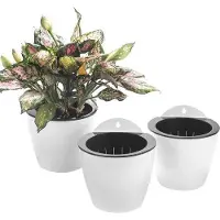 Famanu Friteuse électrique à air chaud 2,6 litres - Des fritures saines sans graisse grâce à une puissance de 1 000 watts et au système de convection 3D - Lavable au lave-vaisselle