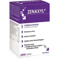 Laboratoires Ineldea Ineldea Santé Naturelle Zenaxyl 90 Gelules Vegetales