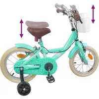 vidaXL Vélo pour enfants 16 pouces, pour les 4-6 ans, vert d'eau