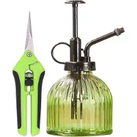 OEM Véritable douche à jet d'eau en verre ancien avec filtre à eau et protection pour les mains