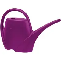 OEM L'arrosoir Spring 17 L devient : Tuyau d'arrosage 17 L violet