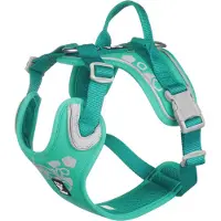 Hurtta Harnais Weekend Warrior vert paon 40-45cm