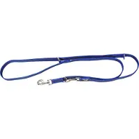 Julius-K9 Rubberized Training 20 Mm Dog Leash Bleu 15 m
