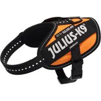 Julius-K9 Idc Power Baby Dog Harness Orange Baby 2