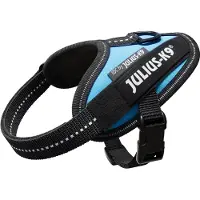 JULIUS K-9 Idc Power Baby Dog Harness Bleu Baby 1
