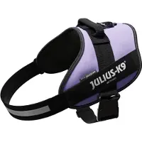 JULIUS K-9 IDC harnais de puissance violet, taille : 3 / XL