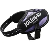 JULIUS K-9 Idc Power Baby Dog Harness Violet Baby 2