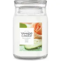 Yankee candle Blooming Love bougie parfumée 567 g