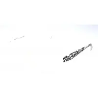 MAX&Co. Lunettes de Vue Max&amp;co. 308 55/13/145 Ivory black white animalier Polyamide WOMAN 308