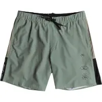 Quiksilver OMNI TRAINING SHORT 17 SEA SPRAY S