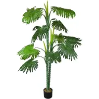 OEM Palmier éventail naturel - Décoration d'intérieur - Ambiance naturelle - 160 cm - Vert