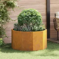 Prolenta Maison Exclusive - Bac à plantes rouillé 90 x 90 x 50 cm Acier résistant aux intempéries