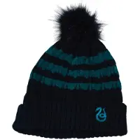 Harry Potter - Serpentard - Bonnet Taille Unique