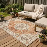 FRAAI Tapis d'extérieur vintage | Santo Medallion terra | 80x150cm | Terracotta | Rectangulaire | Tapis d'extérieur