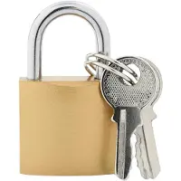 vidaXL Cadenas avec clés 100 pièces Laiton Fer