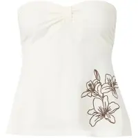 Hollister Haut marron / blanc