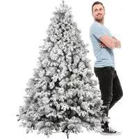 Frankystar Luna - Sapin de Noël avec neige et cônes en PE PVC PP ø122x180H cm, 1517 branches