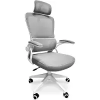 Frankystar Lyn - Chaise de bureau ergonomique réglable en hauteur, avec appuie-tête, rembourrage lombaire et roulettes - couleur blanc et gris
