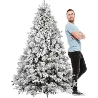 Frankystar Luna - Sapin de Noël avec neige et cônes en PE PVC PP ø142x210H cm, 2155 branches