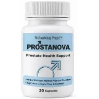 GLOBAL D LTD PROSTANOVA – Soutien de la prostate et formule botanique bien-être (30 gélules)