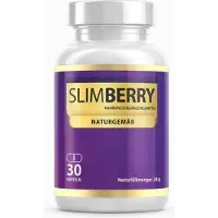 GLOBAL D LTD Slimberry – Formule pour l'équilibre métabolique et le soutien énergétique – 30 gélules