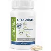 GLOBAL D LTD Lipocarnit – Gélules pour soutenir le métabolisme et l'énergie au quotidien - 30 gélules