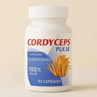 GLOBAL D LTD Cordyceps Pulse – Formule botanique (30 gélules)
