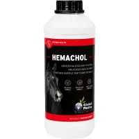 Global Medics Hemachol 1 l Solution(S)