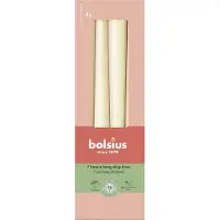 Bolsius Bougie conique ivoire 24x245mm 4 (4 pcs)