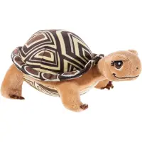 Heunec L'école des animaux magiques - Henrietta, la tortue, petite