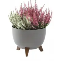 Lamela Flowerpot Roma 880-74, plastic, Ø 29 cm, cream (29 x 23 cm)