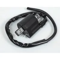 Teknix Bobine D'allumage Ht Pour Moto Rieju 50 Mrt 2009 À 2017 Neuf