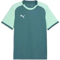Puma Hommes, T-shirt de sport, teamLIGA26 Matchday Jersey (S), Vert, S