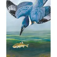 New York Puzzle Company Belted Kingfisher