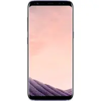 Samsung Galaxy S8 Gris