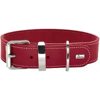 Hunter Collier Aalborg Special (Chien, Sport canin)