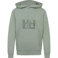 Helly Hansen Core Graphic Hoodie Vert L Homme
