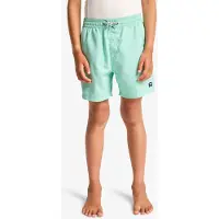 Billabong All Day Lb Swimming Shorts Vert 10 Years Garçon